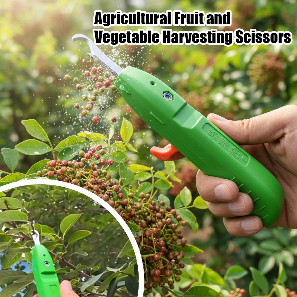 Gardening Tools Scissors - Sécatrices de jardinage, outils agricoles, ciseaux
