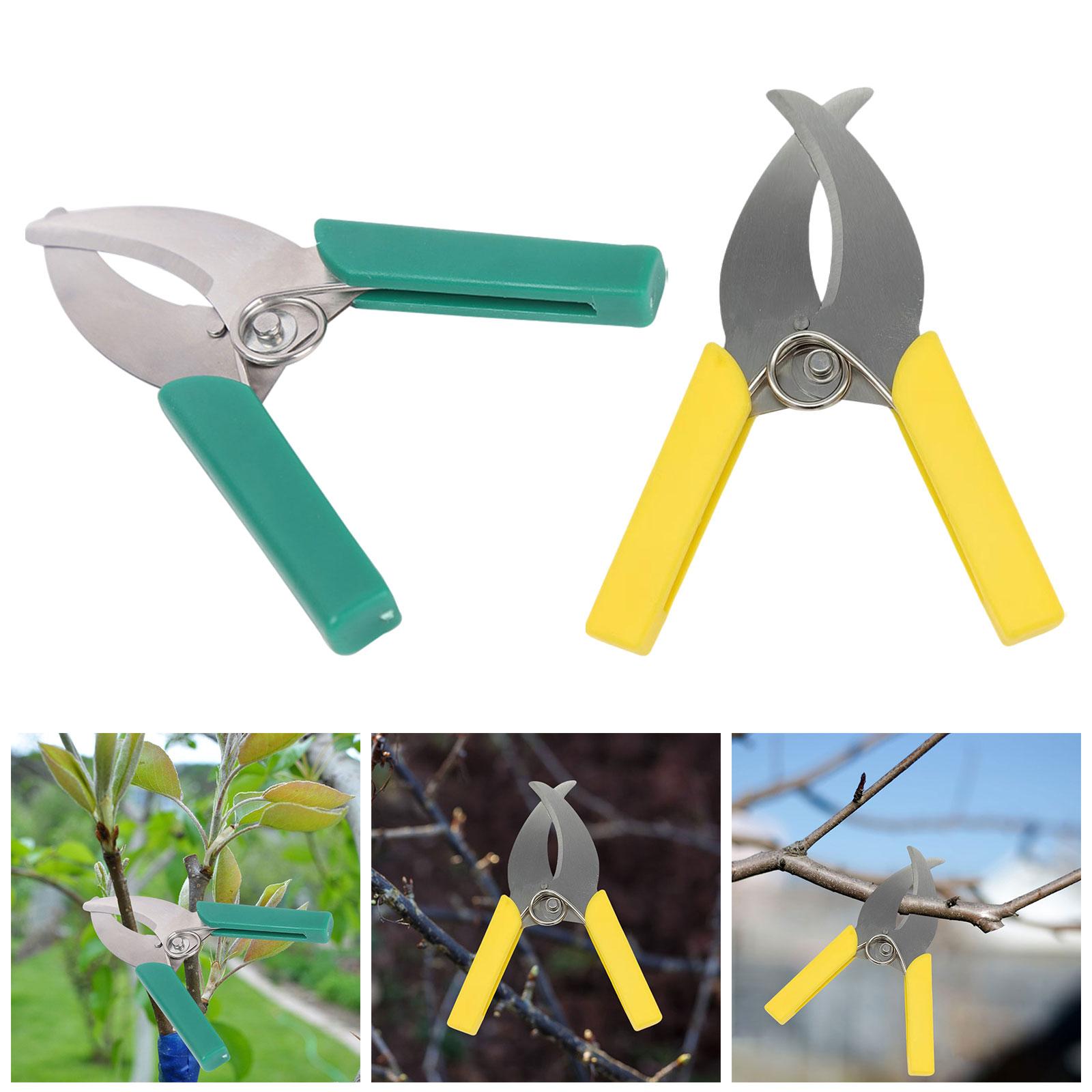 Gardening Tools Scissors - Ciseaux coupe-aboiement à anneau, ciseaux de