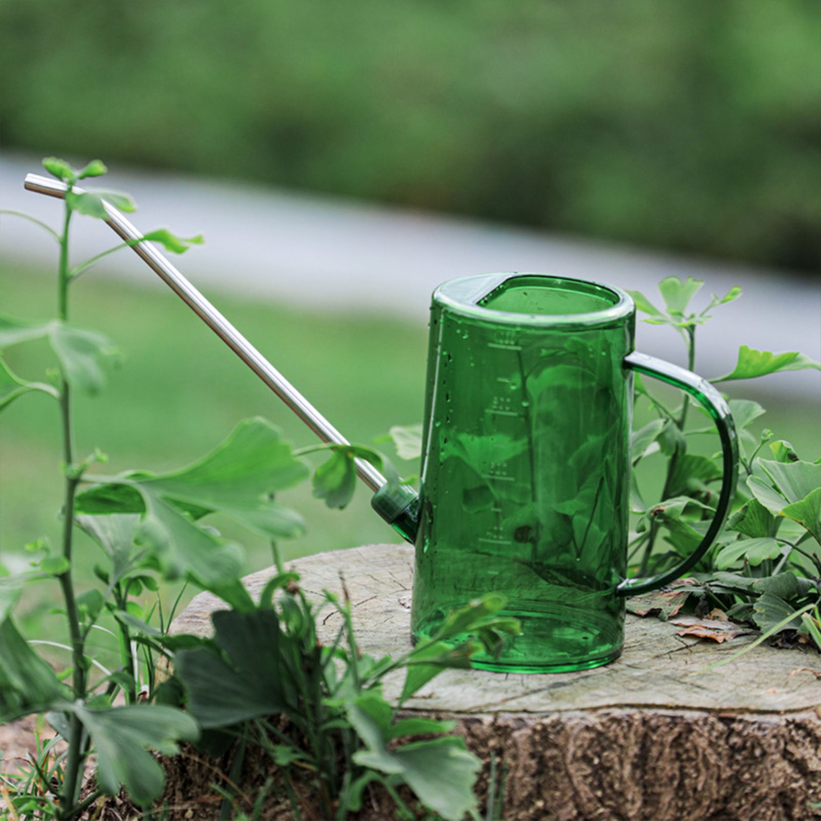 Gardening Tools Watering Can - Arrosoir pour plantes d'intérieur 1L/1.5L, transparent,