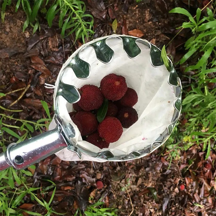 Gardening Tools Basket - Panier cueilleur de fruits robuste, outil