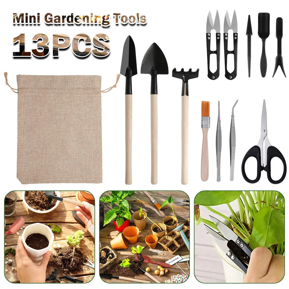 Gardening Tools Kit For Home Garden - Ensemble d'outils pour plantes succulentes, kit