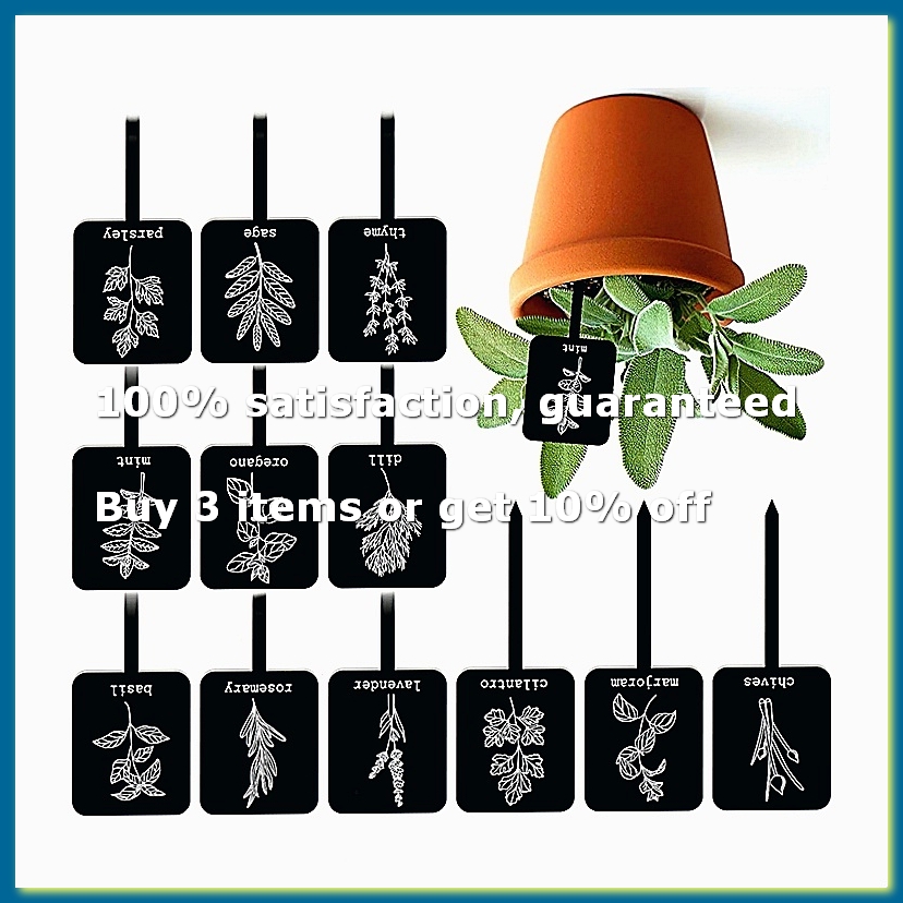 Gardening Tools With Names - 24 étiquettes de plantes en acrylique,
