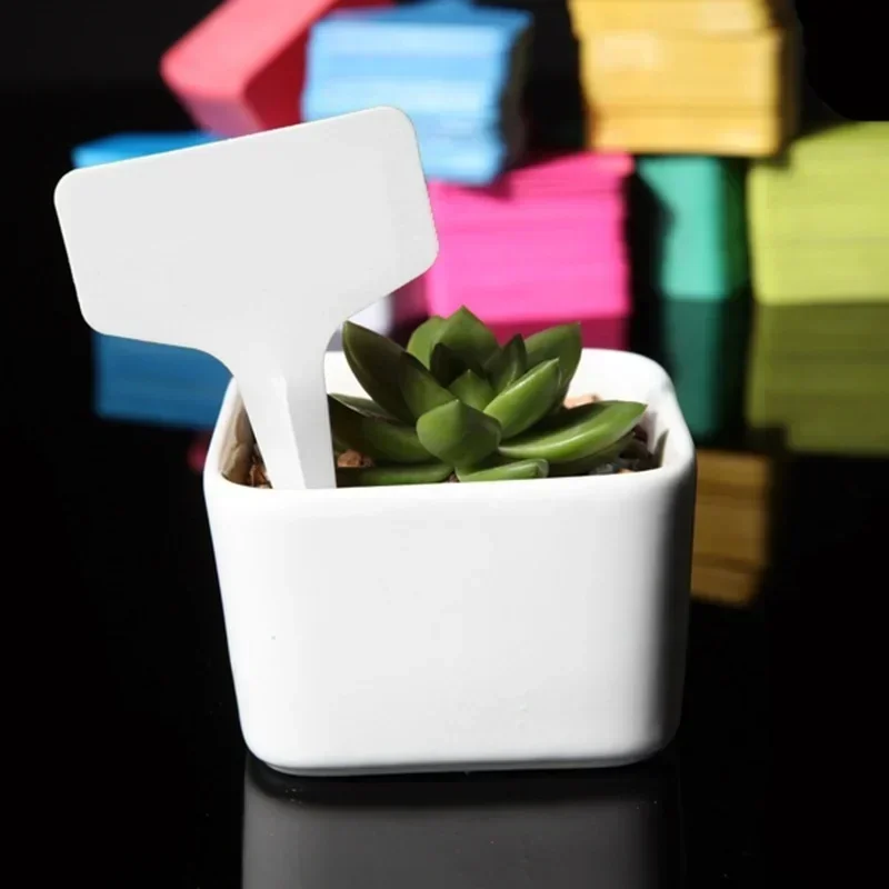 Gardening Tools With Names - Étiquettes nominatives de plantes en plastique