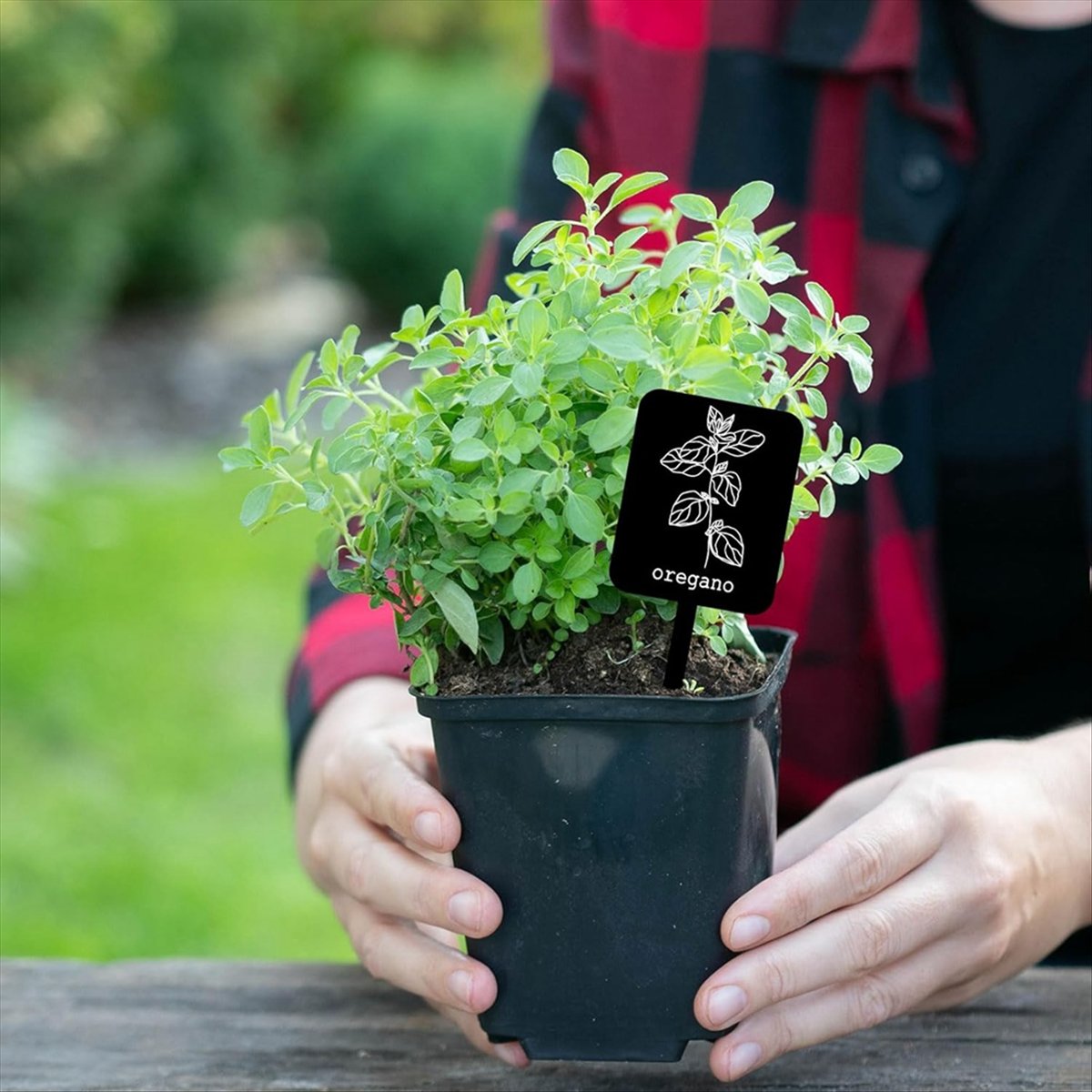 Gardening Tools With Names - AA14 24 étiquettes de plantes en