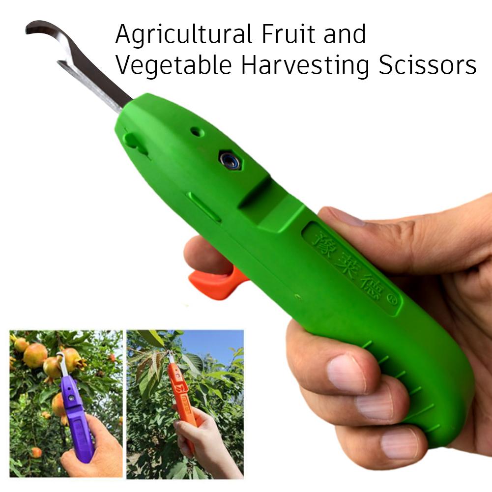 Sécatrices de jardinage, outil - Gardening Tools Scissors avis et prix