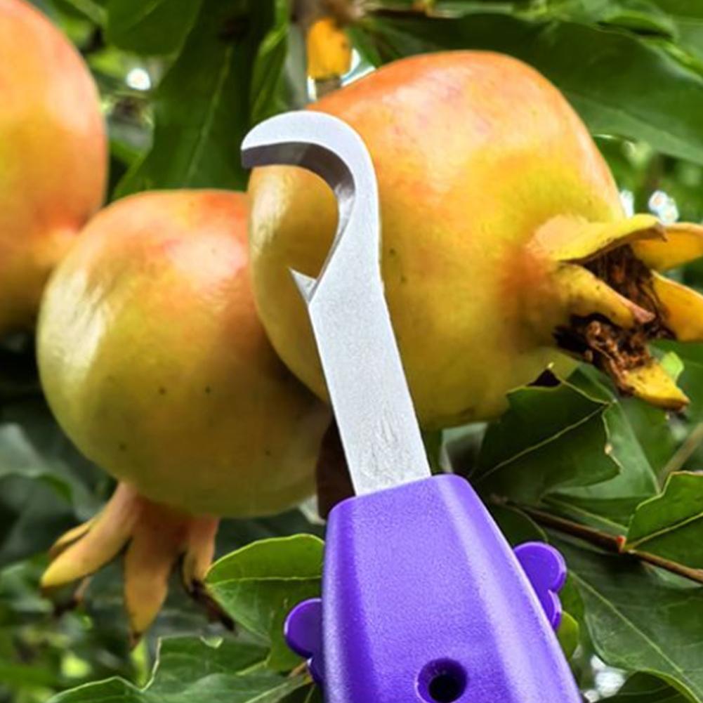 Sécatrices de jardinage, outil - Gardening Tools Scissors avis et prix