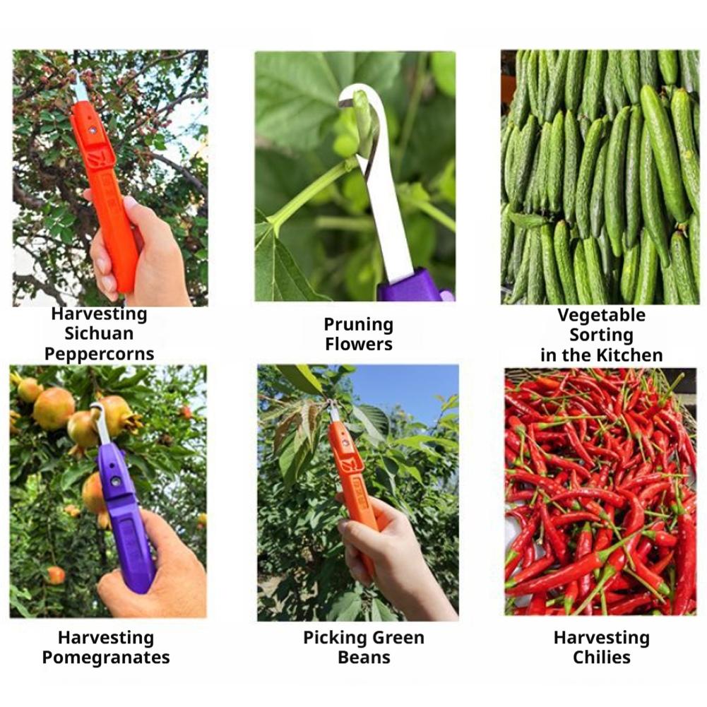 Sécatrices de jardinage, outil - Gardening Tools Scissors avis et prix