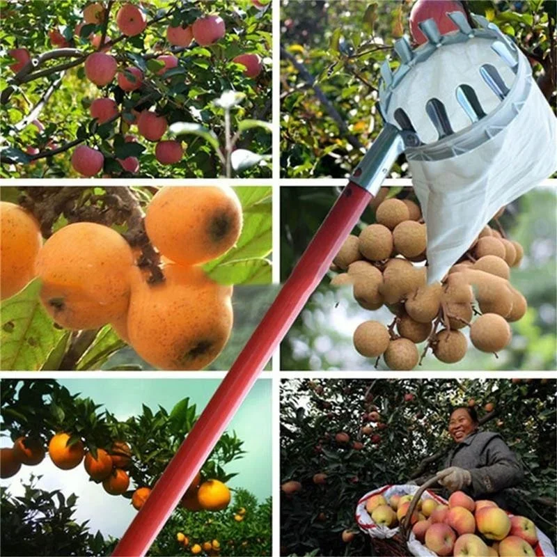 Ramasseur de fruits de jardin, - Gardening Tools Scissors avis et prix