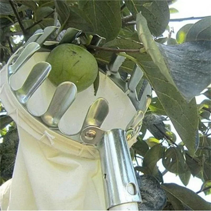 Ramasseur de fruits de jardin, - Gardening Tools Scissors avis et prix