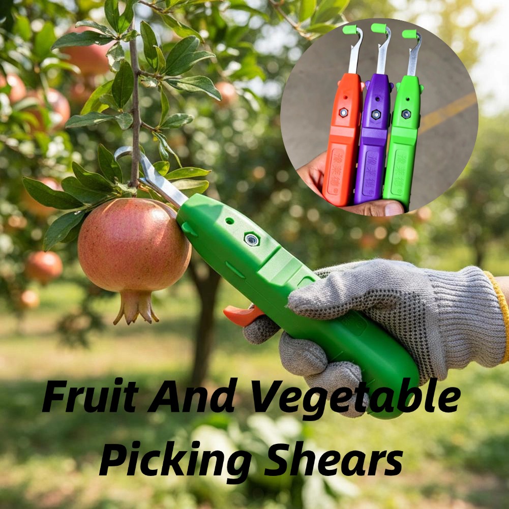 Ciseaux de cueillette de fruit - Gardening Tools Scissors avis et prix