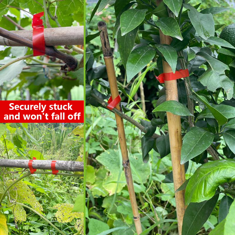Machine à lier les branches de - Gardening Tools Kit For Home Garden avis et prix