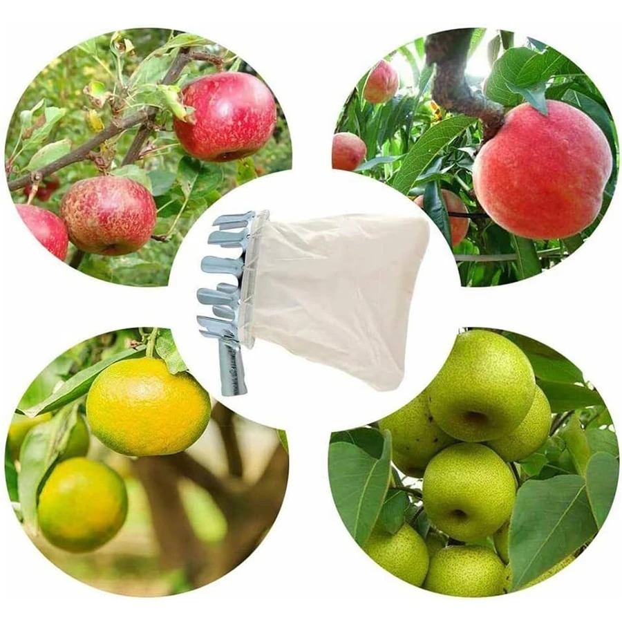Panier cueilleur de fruits rob - Gardening Tools Basket avis et prix
