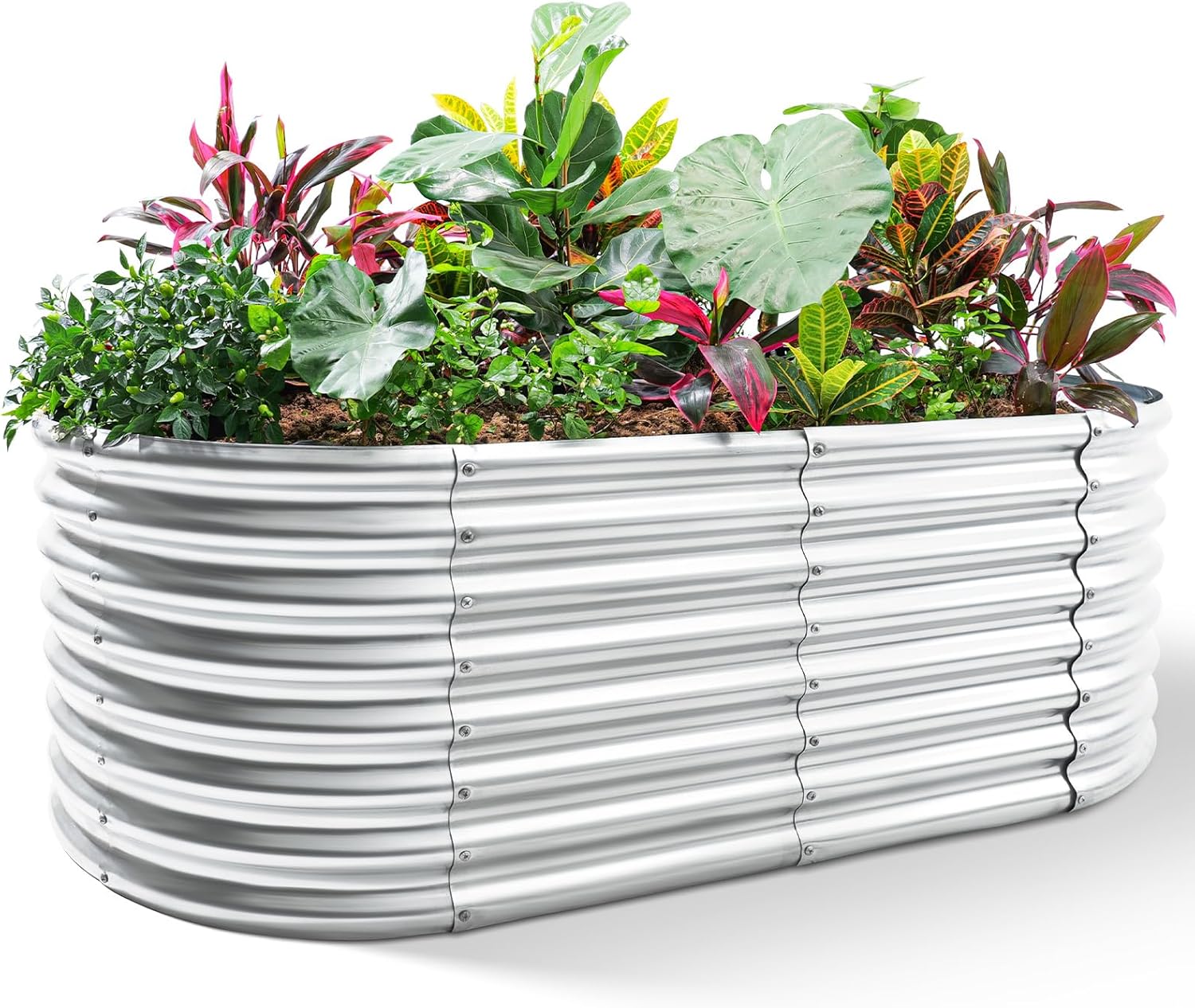 Bac à légumes surélevé galvani - Raised Bed Planter Box avis et prix
