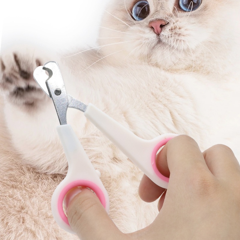 Ciseaux coupe-ongles pour anim - Essential Gardening Tools avis et prix