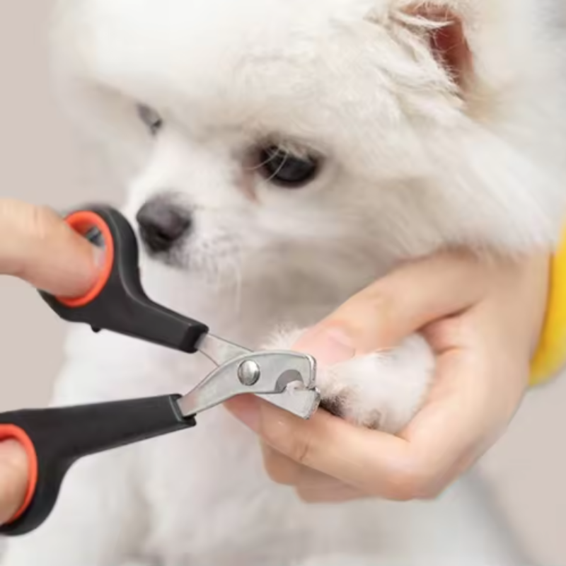Ciseaux coupe-ongles pour anim - Essential Gardening Tools avis et prix