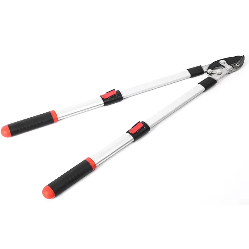 Sécateur long extensible pour  - Gardening Tools Scissors avis et prix