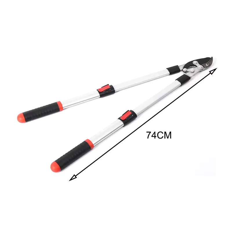 Sécateur long extensible pour  - Gardening Tools Scissors avis et prix