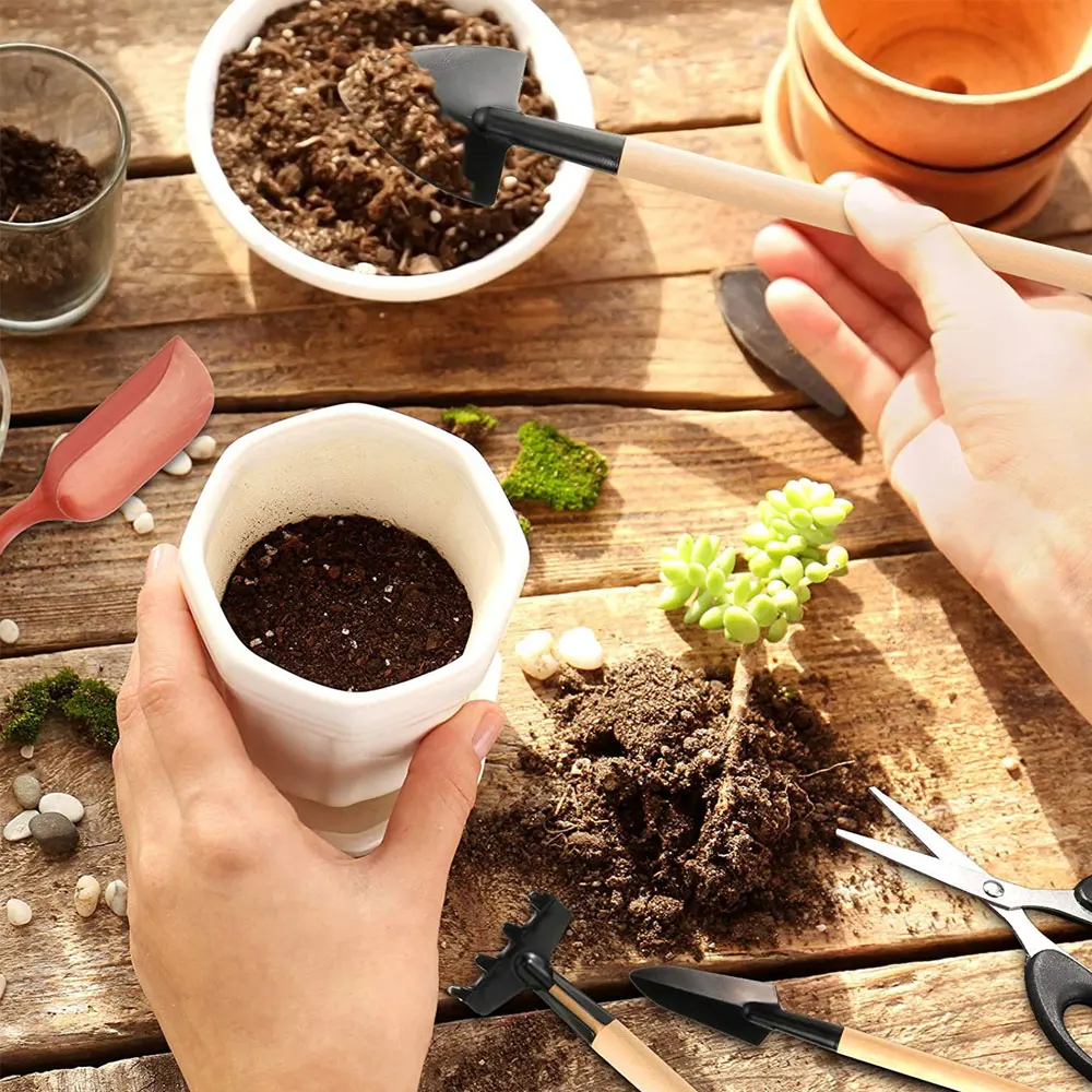 Ensemble d'outils pour plantes - Gardening Tools Kit For Home Garden avis et prix