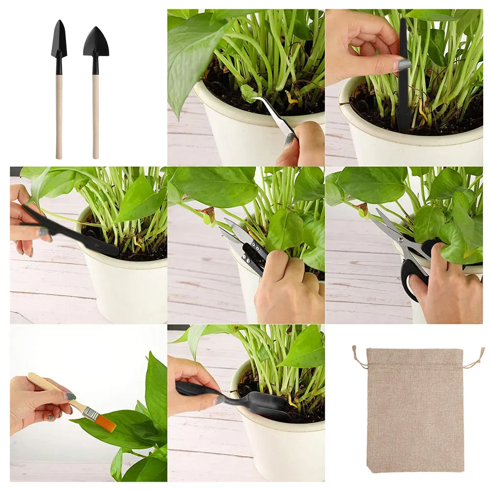 Ensemble d'outils pour plantes - Gardening Tools Kit For Home Garden avis et prix