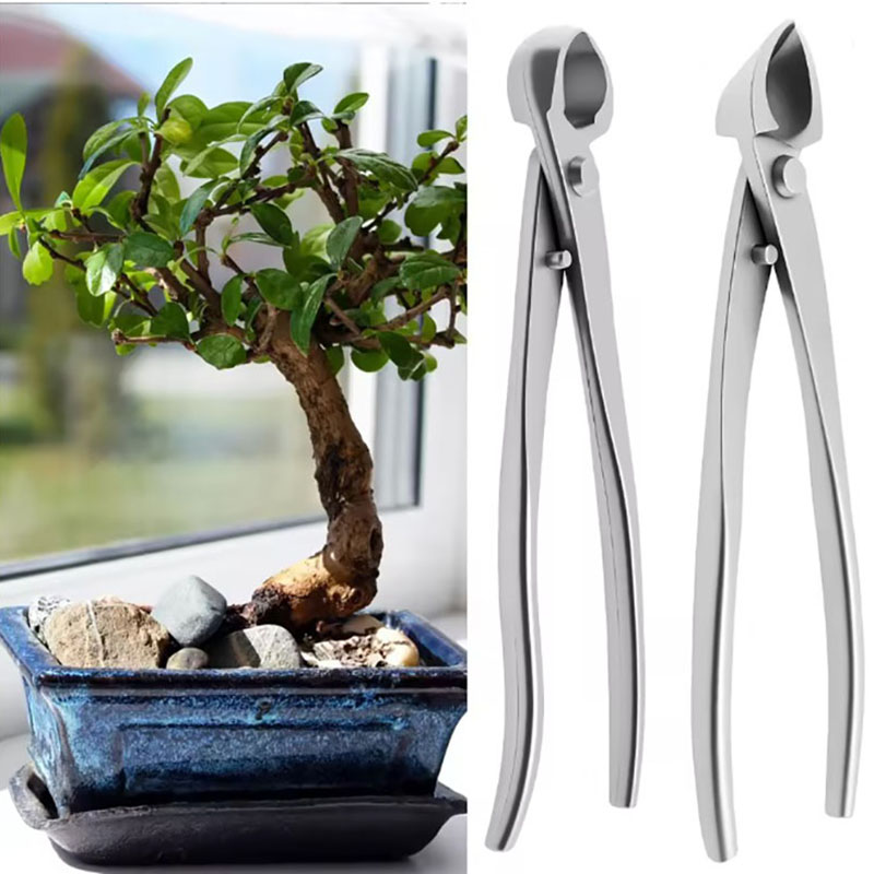 Kit d'outils pour bonsaï en ac - Gardening Tools Australia avis et prix