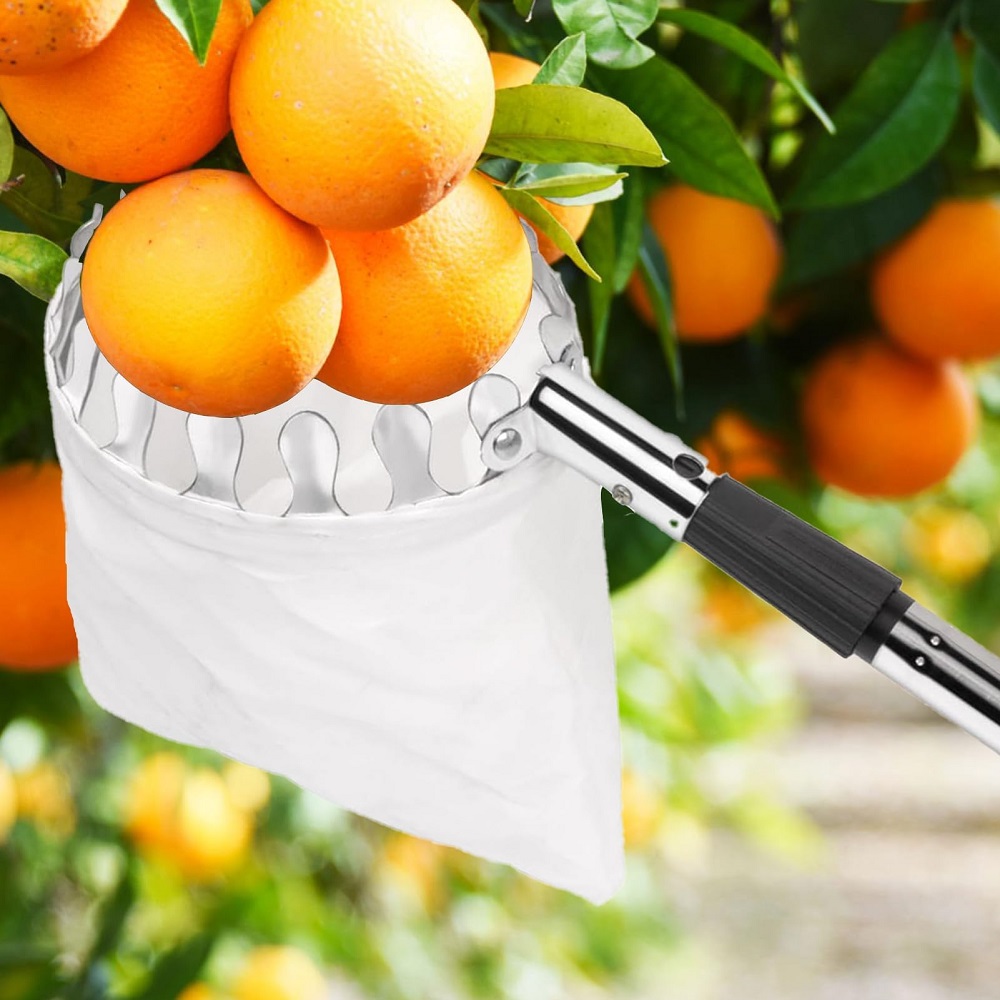 Perche télescopique de cueille - Gardening Tools Basket avis et prix