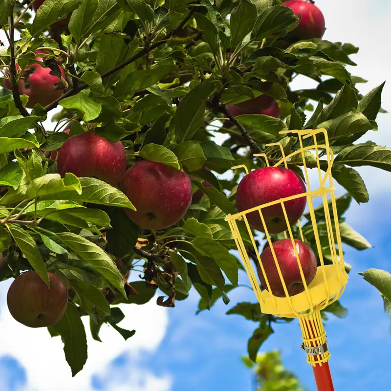 Outil de cueillette de fruits  - Gardening Tools Basket avis et prix