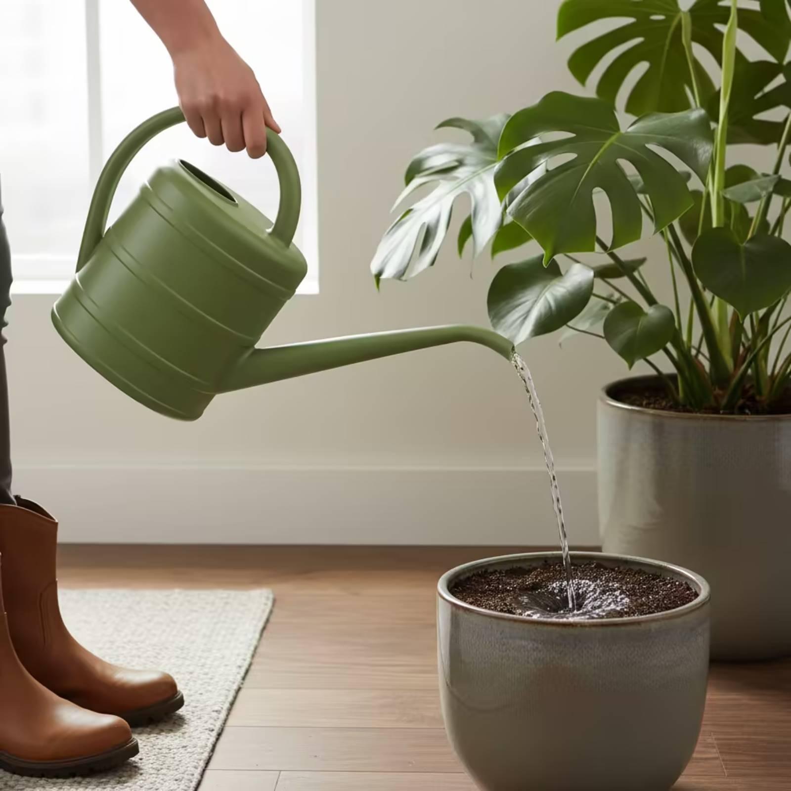 Arrosoir à long bec facile à n - Gardening Tools Watering Can avis et prix