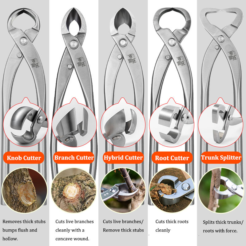 Ensemble d'outils de bonsaï de - Gardening Tools Australia avis et prix