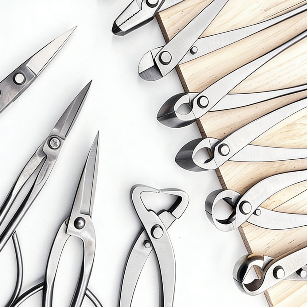 Ensemble d'outils de bonsaï de - Gardening Tools Australia avis et prix