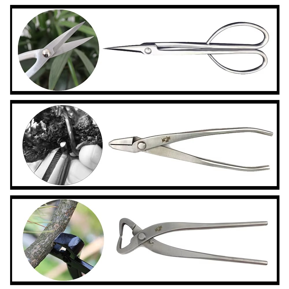 Ensemble d'outils de bonsaï de - Gardening Tools Australia avis et prix