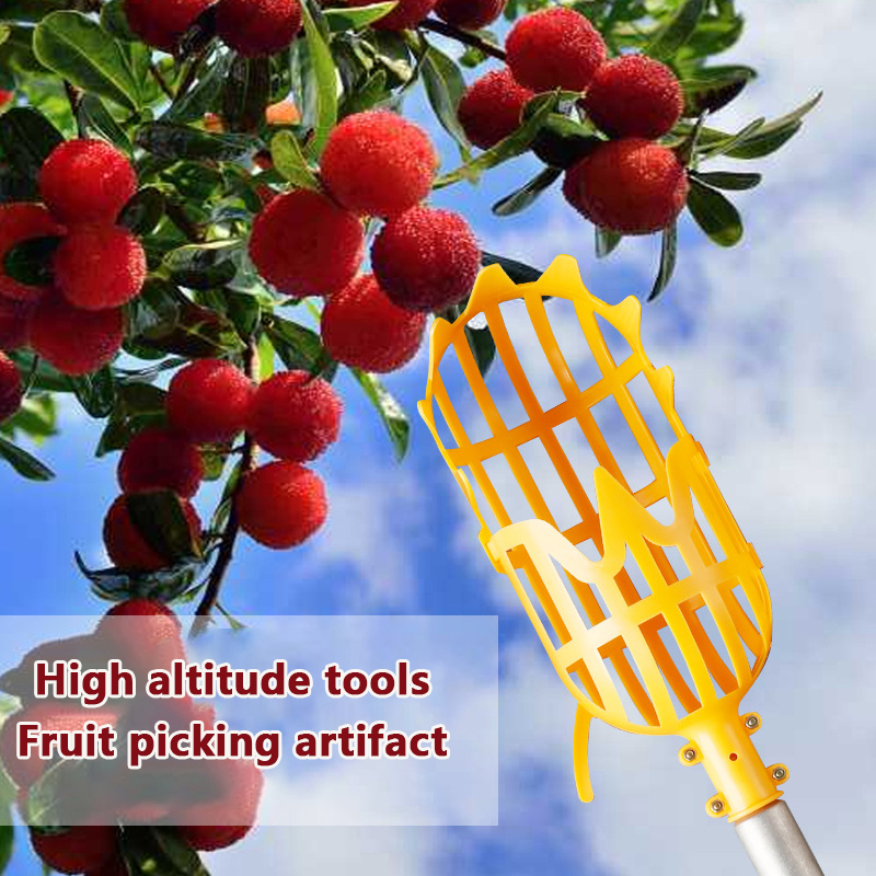 Outil de cueillette de loquat  - Gardening Tools Basket avis et prix