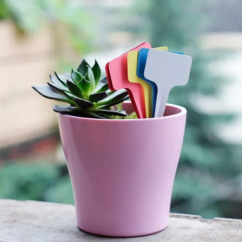 Étiquettes nominatives de plan - Gardening Tools With Names avis et prix