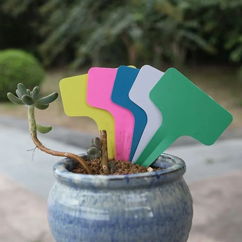 Étiquettes nominatives de plan - Gardening Tools With Names avis et prix