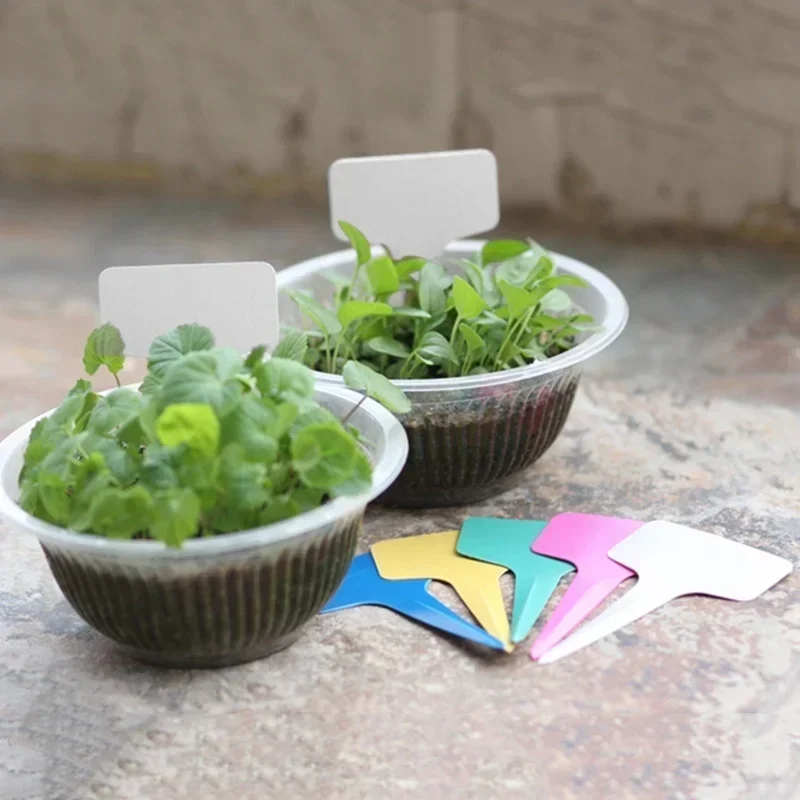 Étiquettes nominatives de plan - Gardening Tools With Names avis et prix