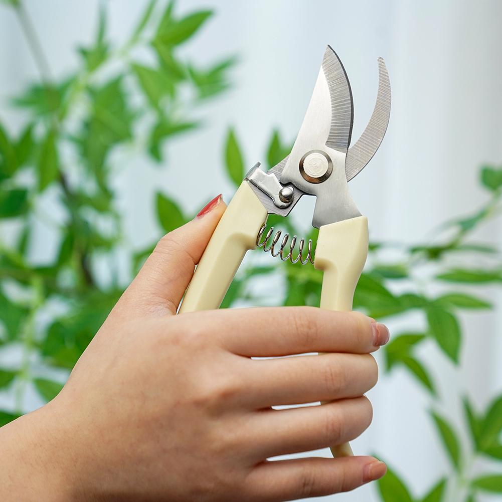 Ciseaux de jardin pour plantes - Gardening Tools Australia avis et prix