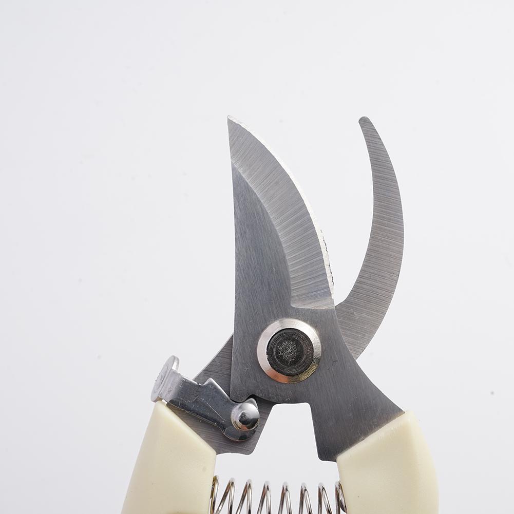 Ciseaux de jardin pour plantes - Gardening Tools Australia avis et prix