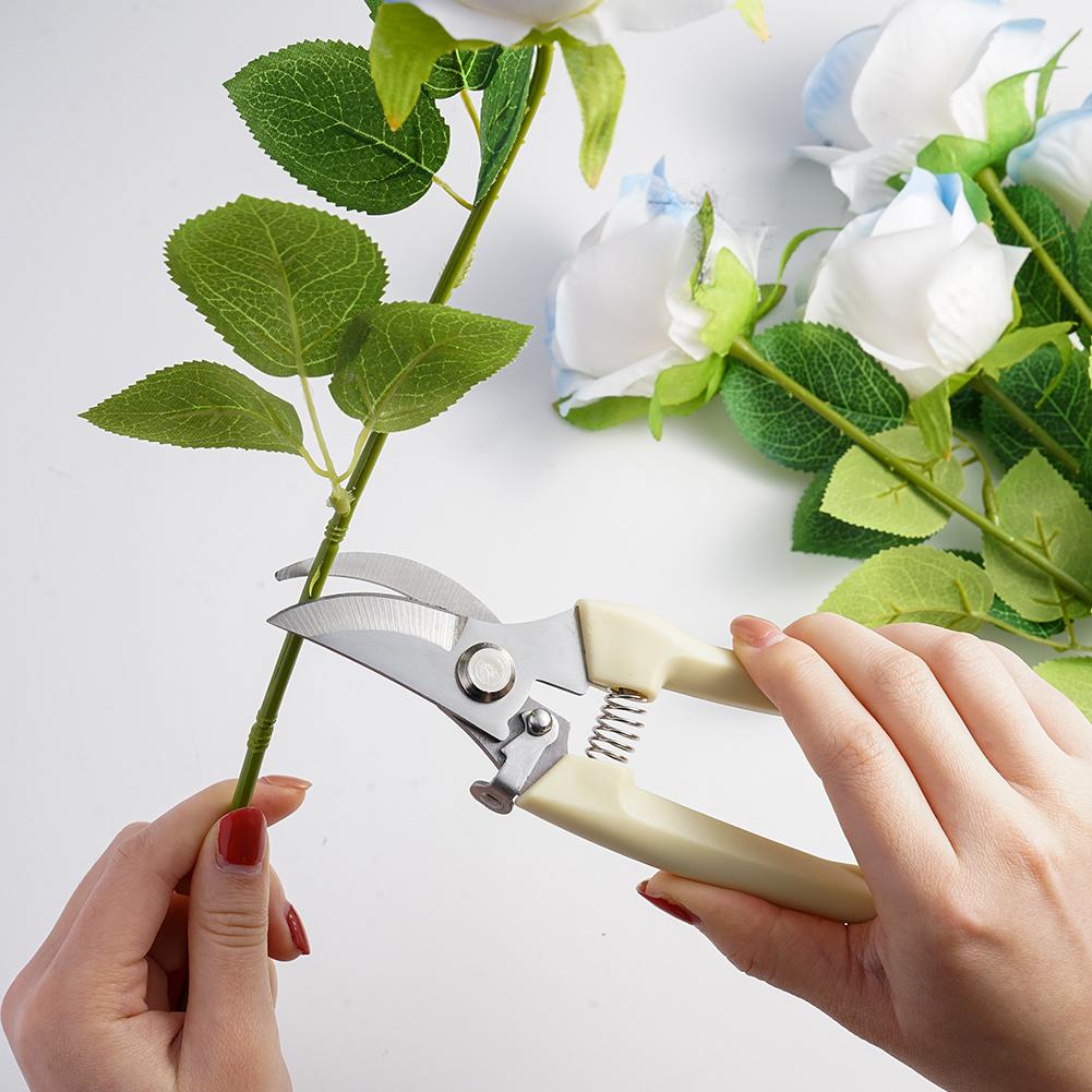 Ciseaux de jardin pour plantes - Gardening Tools Australia avis et prix