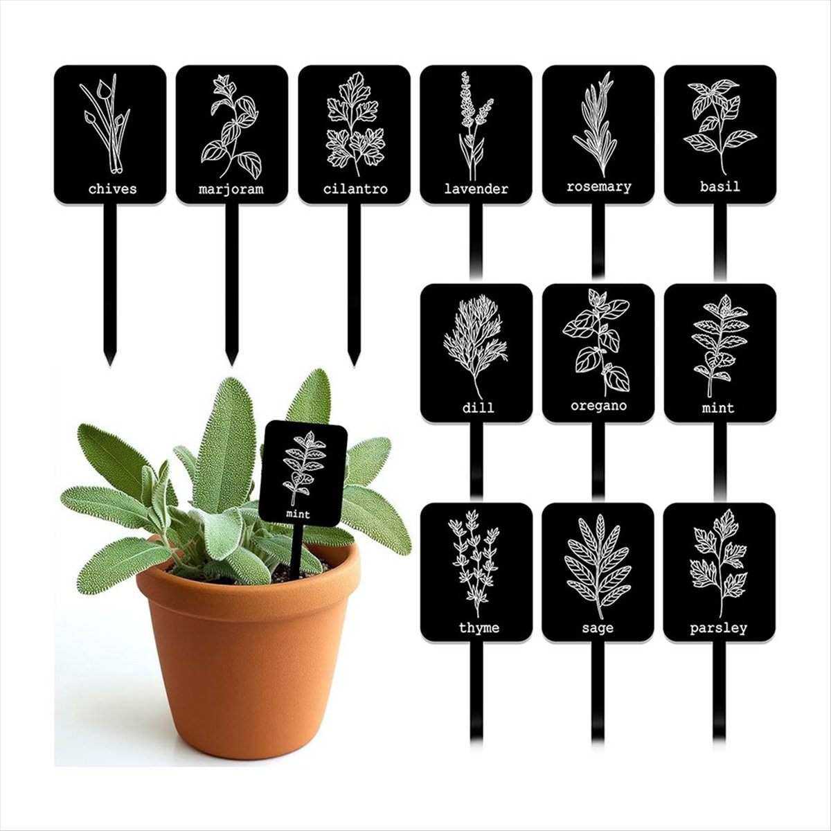 AA14 24 étiquettes de plantes  - Gardening Tools With Names avis et prix